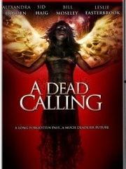 亡灵在线观看高清,高清惊悚之旅